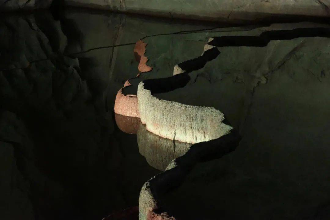 C-lux|徕卡那么贵，为什么还有这么多人买？