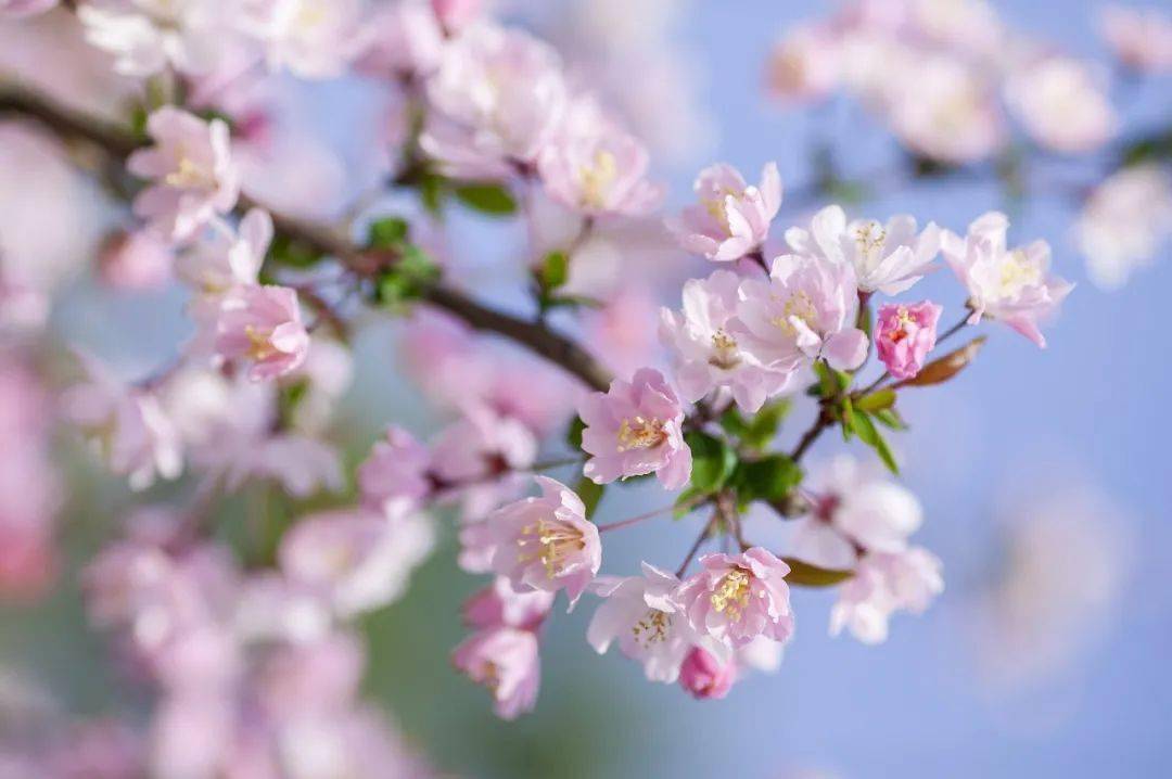 且听风吟,静待花开