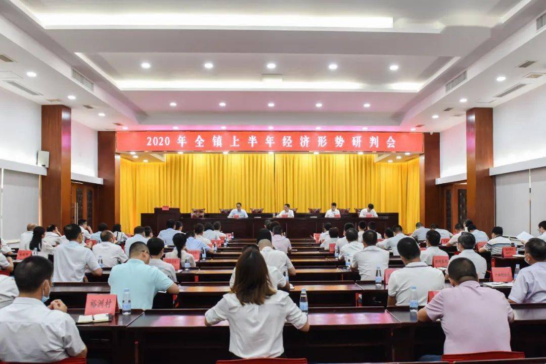 坦洲镇经济gdp_经济图片(2)