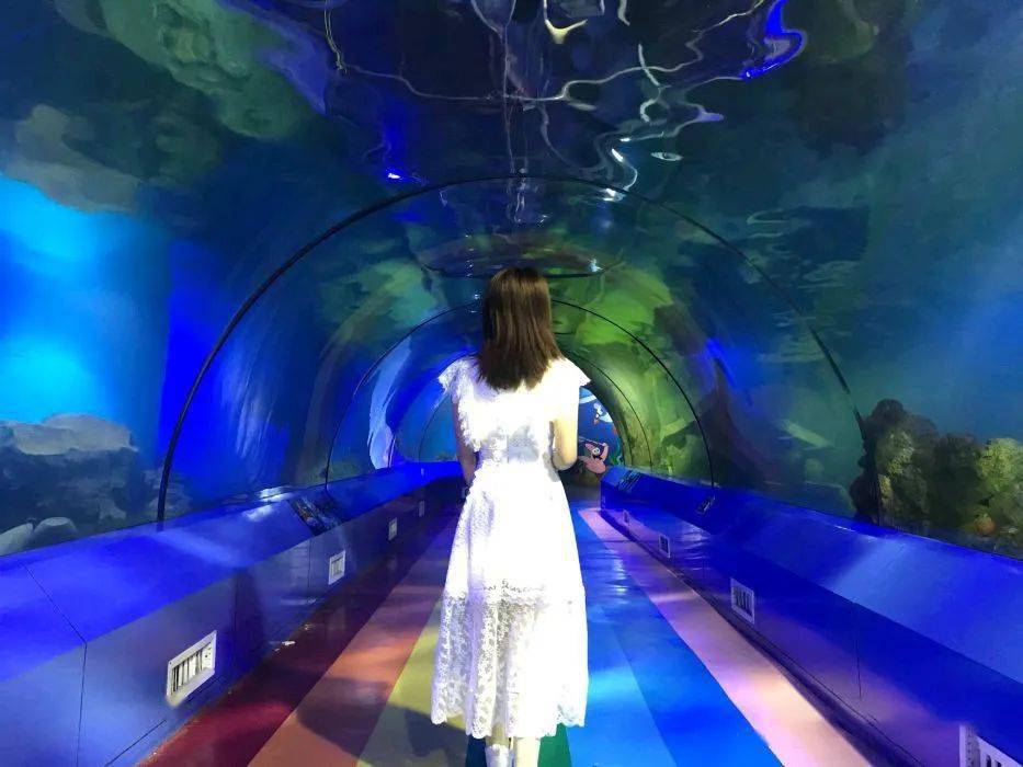 重庆欢乐海底世界是重庆市首家大型海洋水族科普馆,是集海洋动物展示