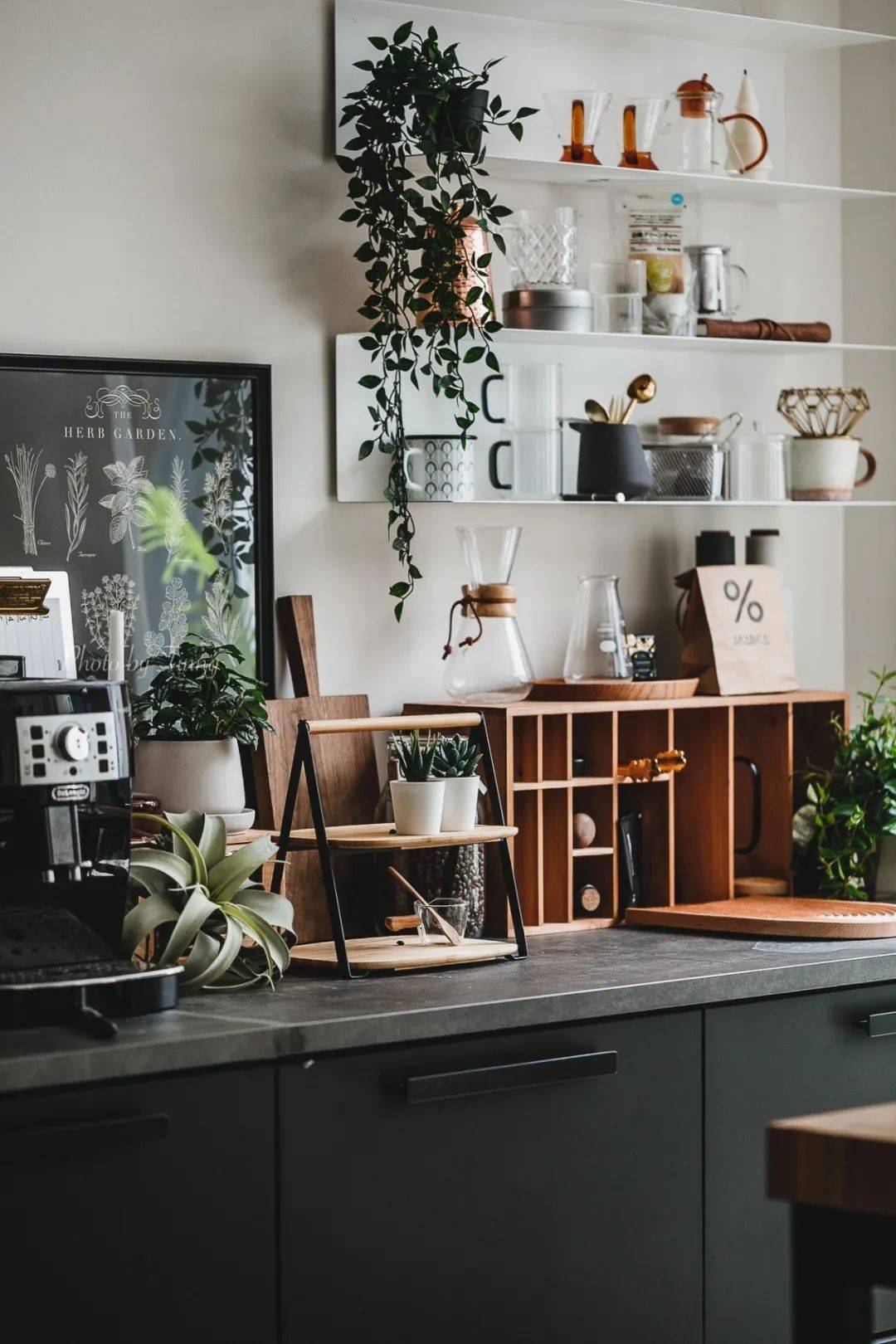 植物|她们的家，美得很让人种草