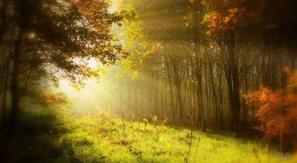 生活|励志语录｜10句早安励志短句送给大家，句句阳光正能量！