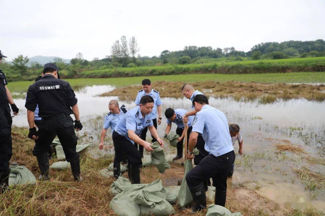 7月6日,嘉鱼县公安局长易一鹏迅速带领专班人员,驻守簰洲湾,负责后垸