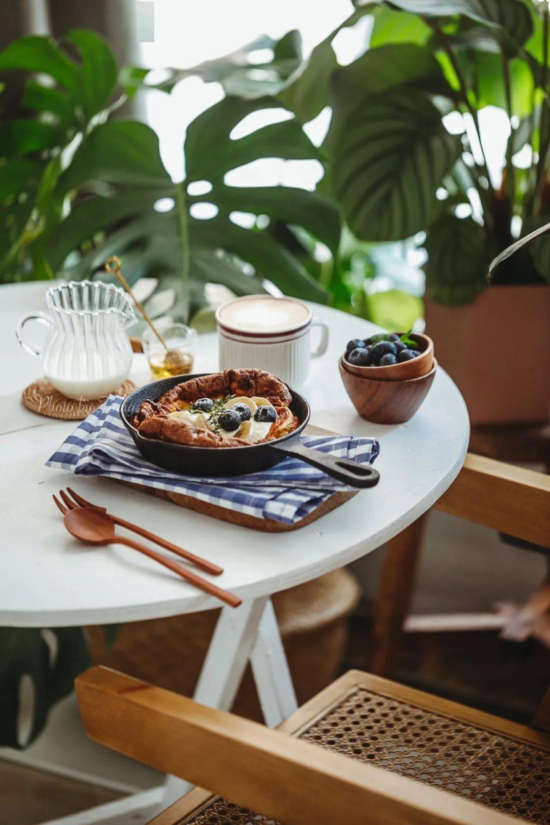 植物|她们的家，美得很让人种草