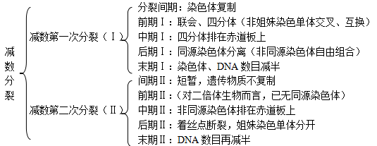 1,相同点①都是性细胞(配子②都经减数分裂产生 2,不同点①卵