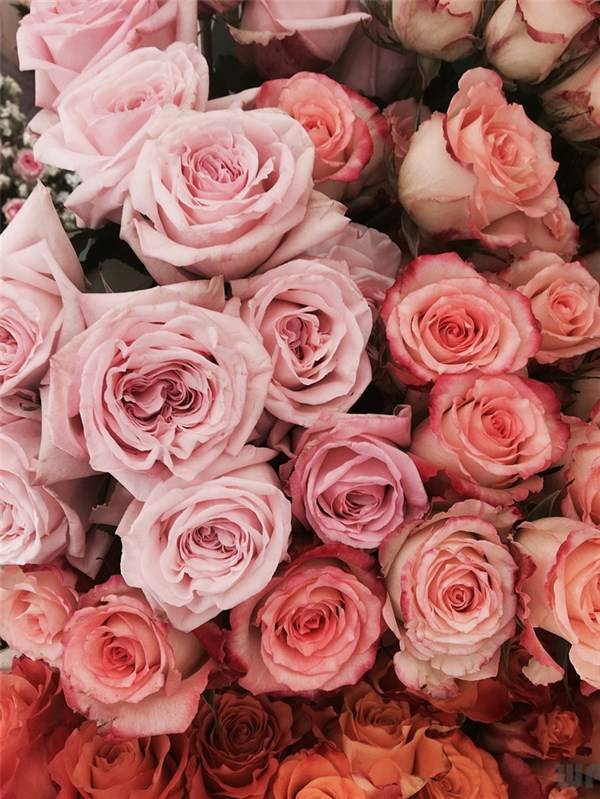 生活|人生匆匆走，有缘才聚首；知己最难求，不醉千杯酒，早安