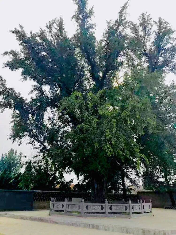 抗日|工运史话 | 山东省职工抗日联合总会的成立及更名