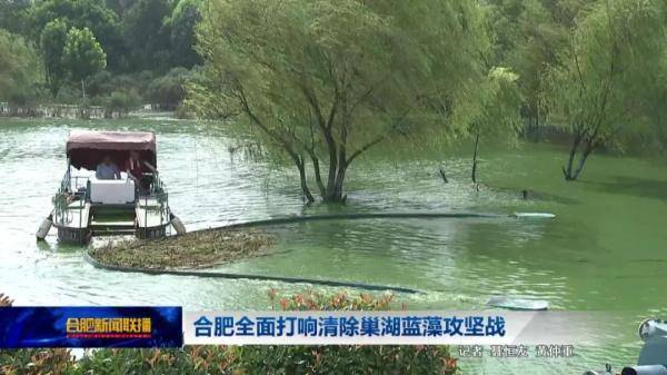 包河区|合肥宣布！全面打响清除巢湖蓝藻攻坚战！