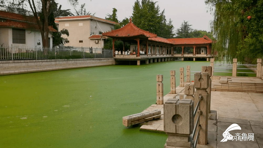 青岛|“一纸证明”挡住了孩子的上学路：能否解决呢？