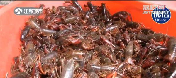 症状|南京发现3例“横纹肌溶解症”患者，疾控部门展开调查！