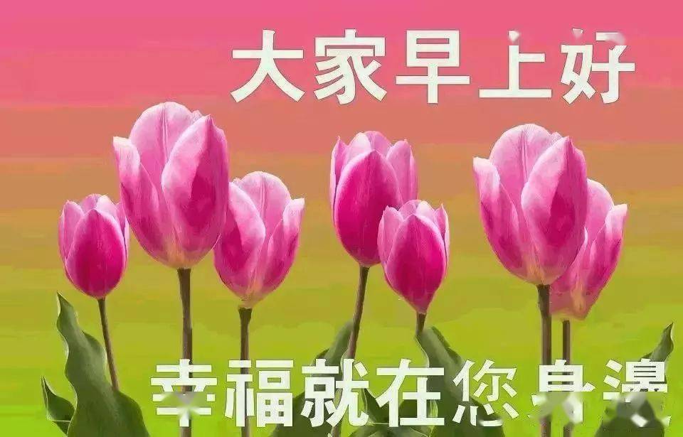 清晨特漂亮的鲜花早上好动画图片精选 微信早上好祝福