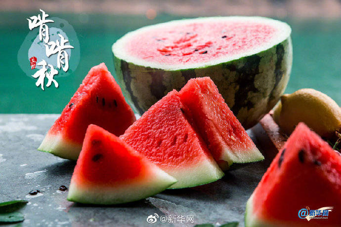 连雨|今日立秋｜秋风飒飒，它来了……