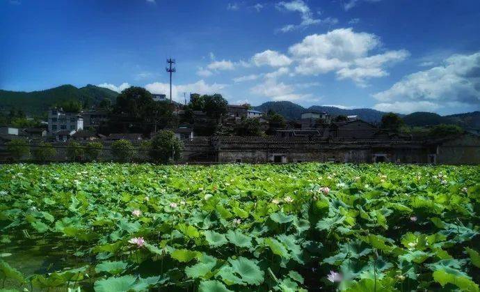 顺昌县有多少人口_福建武夷交通运输股份有限公司(2)