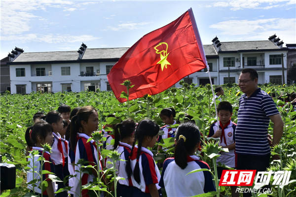 教育|醴陵：分布式体验教育，让学生快乐成长