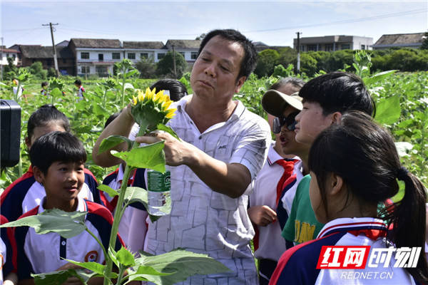 教育|醴陵：分布式体验教育，让学生快乐成长