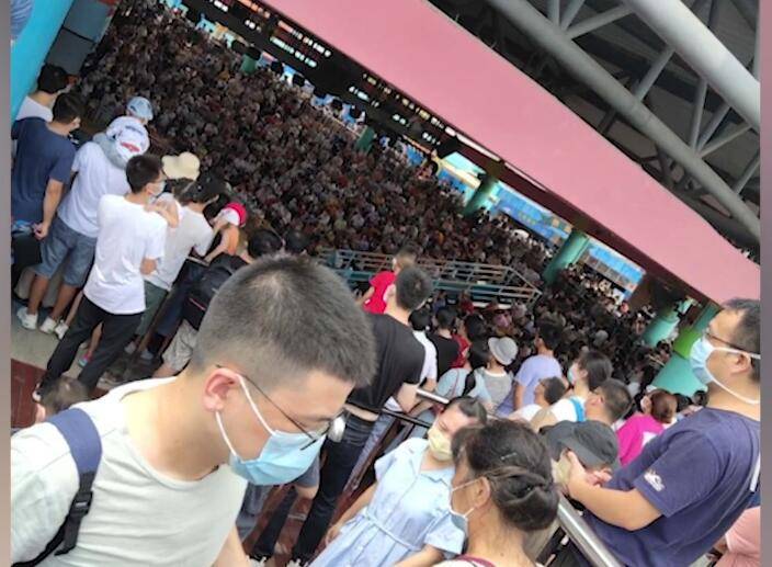 景区|昨天的武汉海洋公园...