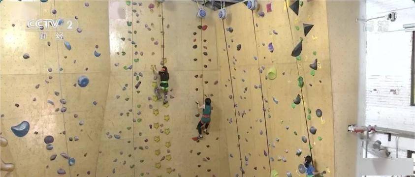 场馆|超4000家体育企业注销备案，跑步机却卖爆！大浪淘沙后，体育产业下个风口在哪？