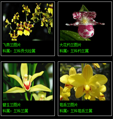 7934f49d1c104c8ca619da84cd029698.png