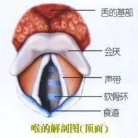 别小看喉咙痛!男子中招险被"封喉",这种病几分钟就会窒息死亡!