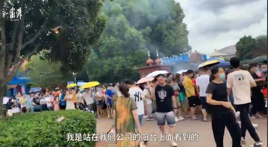 景区|昨天的武汉海洋公园...
