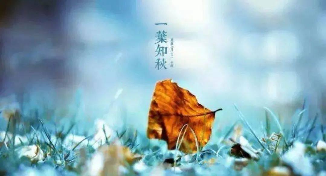 什么时候才能不刮风 c642f85ed5ce48c1ae3fade84da38294.jpeg