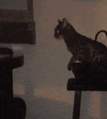 c6484726dde348ae8c304d7221438a1d.gif