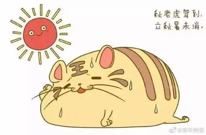 蔷薇|秋老虎来了！杭州或迎来一年中最热的一段时光，台风“蔷薇”能“灭火”吗？