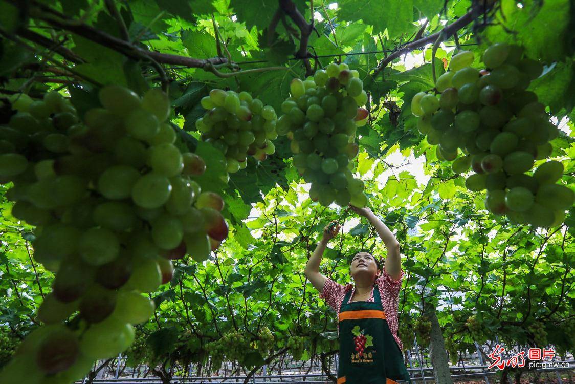 2020湘西自治州各县g_湘西土家族苗族自治州