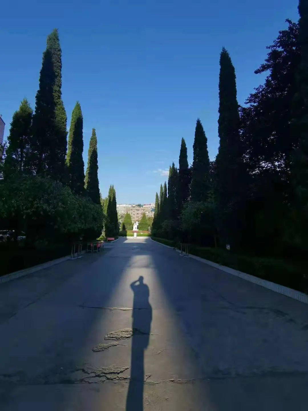 镇雄县2020年GDP_镇雄县地图(2)