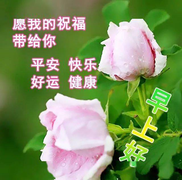 23515214bf814d3caadcdb499fae0963.jpeg