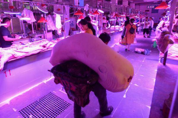 东山|每天背万斤！他背肉10余年养活一家人