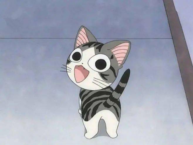 二次元云吸猫10部关于猫的人气动漫你看过多少部呢