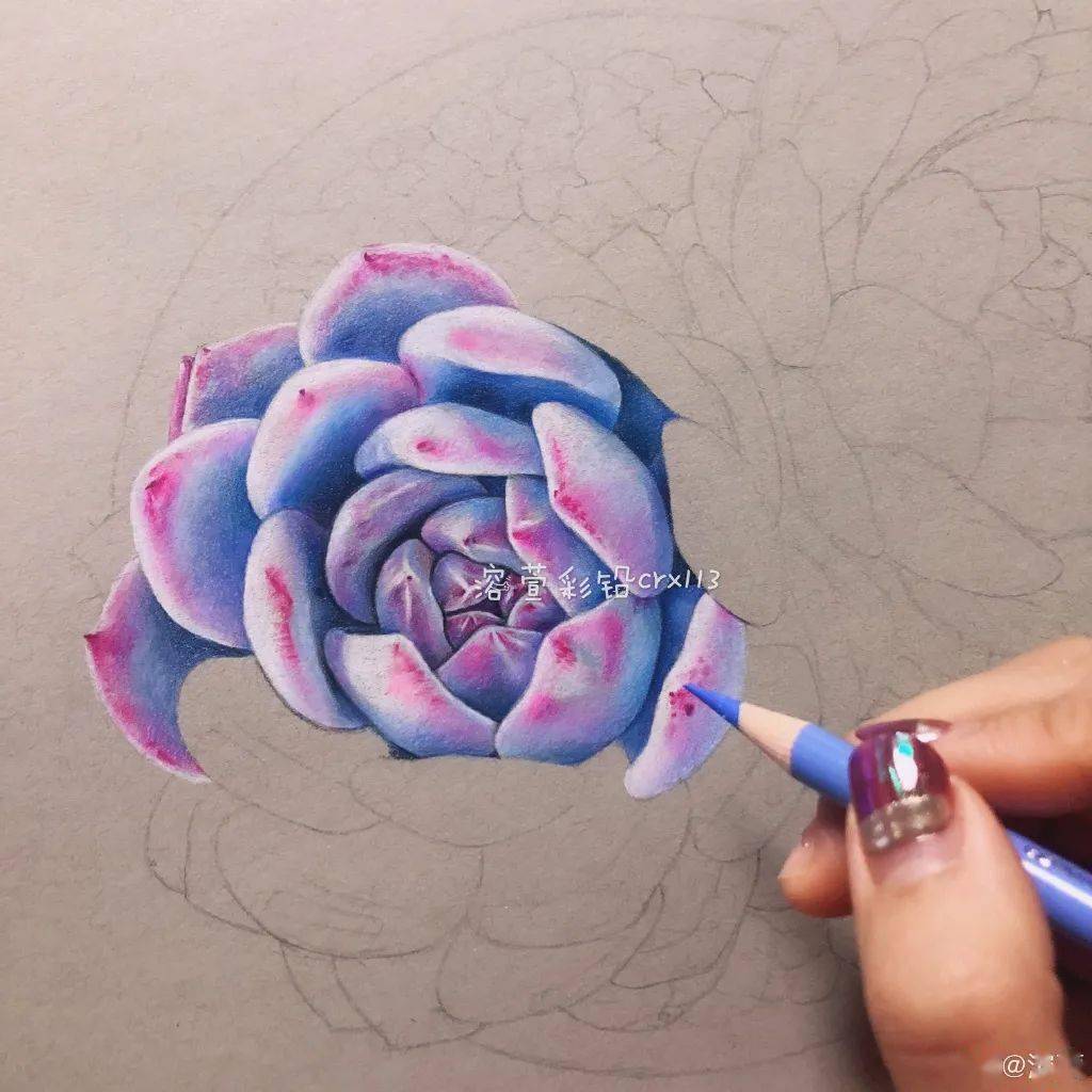 油性彩铅这样画,效果简直美炸!
