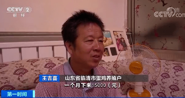 王吉|蛋价不“蛋定”了？养殖户一天盈利500元走出近半年亏损期