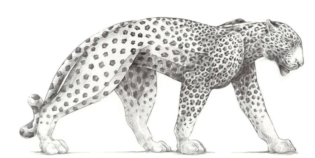 ���䱦����Ը�ͼ��