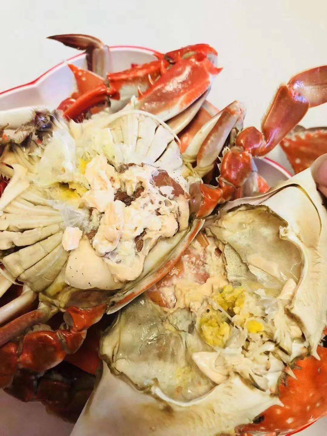 梭子蟹几月开海 c3fbe002cdd34c17b18a06f880651cc2.jpeg