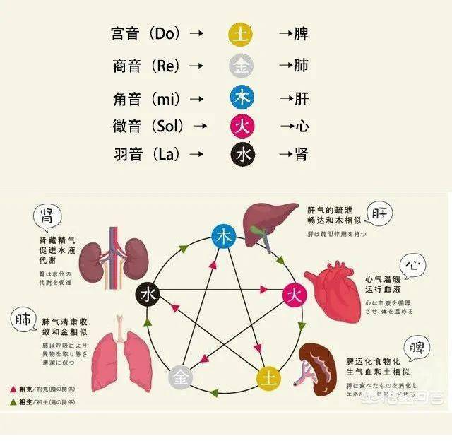 收藏!心肝脾肺肾偏爱的这些音乐,每天听保健康