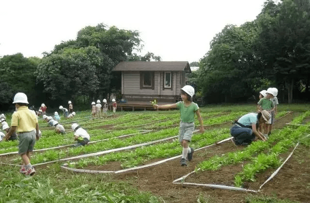 谁说小农场不赚钱?