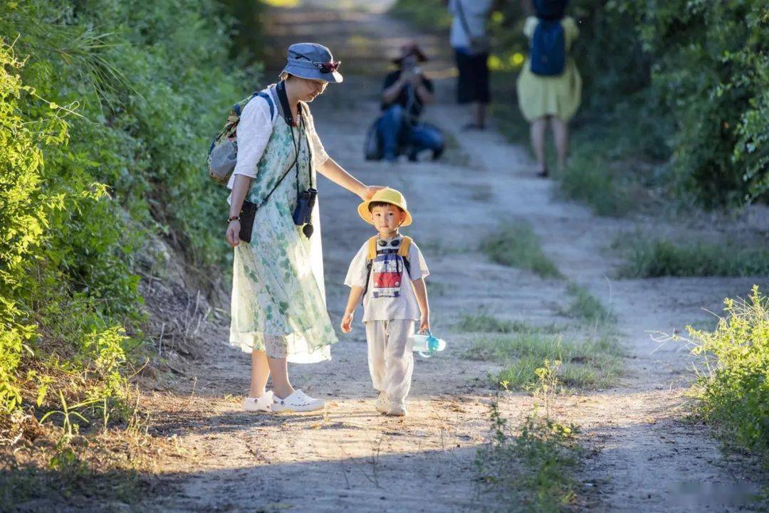 育儿分享如何跟一个三岁的小朋友结伴登山