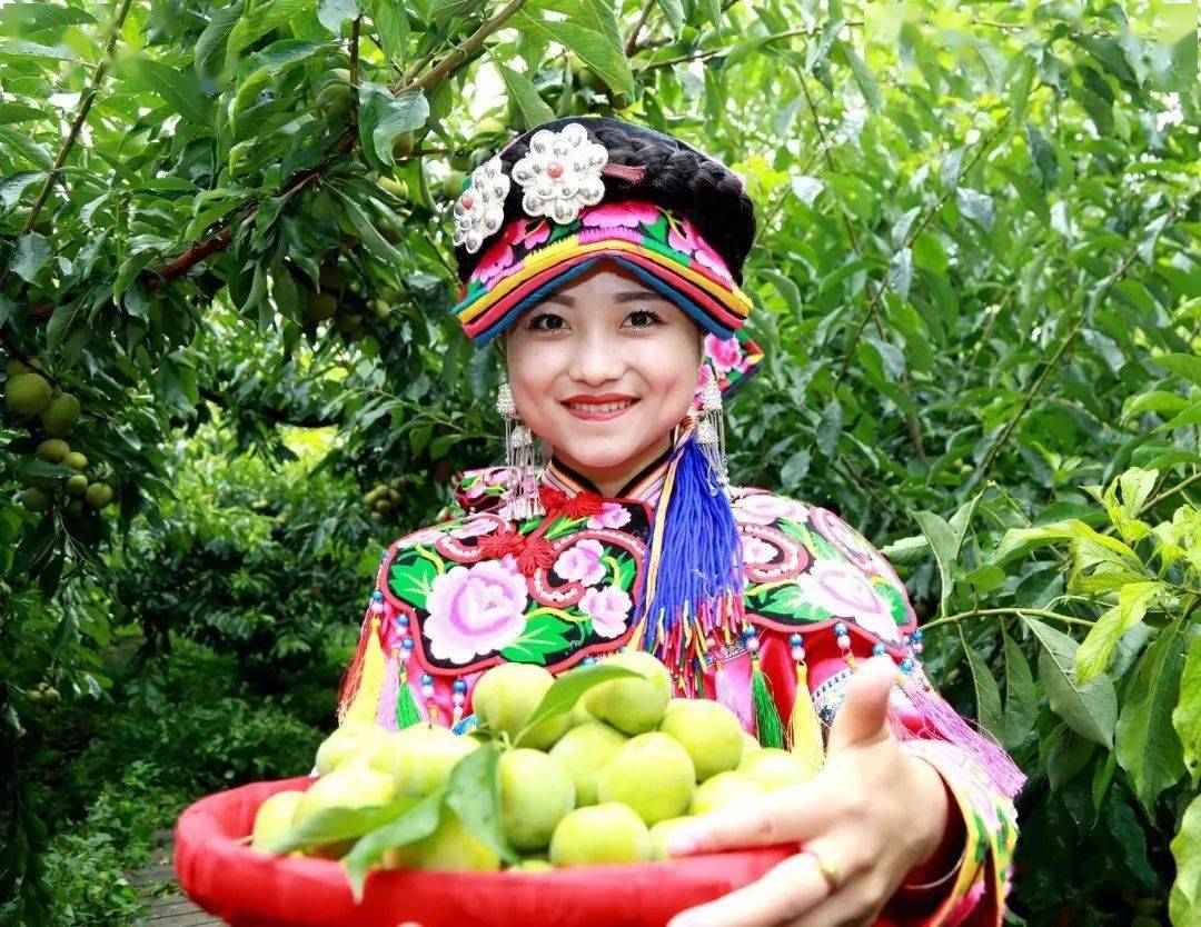 茂县青脆李
