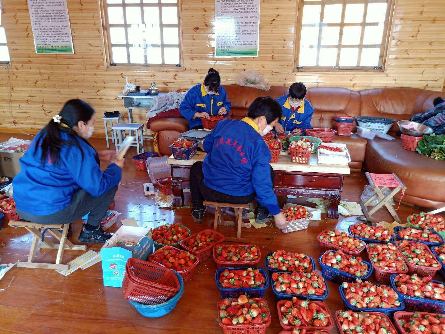 岱岳区|电商经济成为岱岳区经济发展新“引擎”