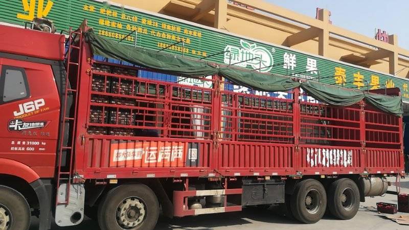 岱岳区|电商经济成为岱岳区经济发展新“引擎”