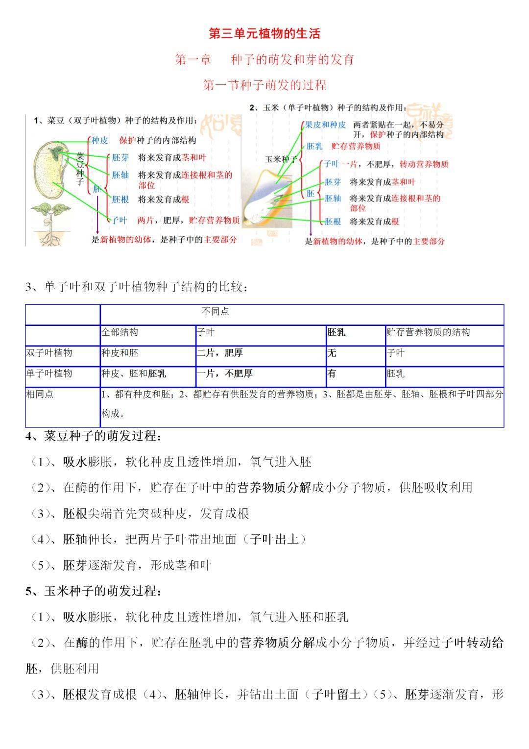知识点归纳生物 d5686ef60c5c48a7a2778226c5d40760.jpeg