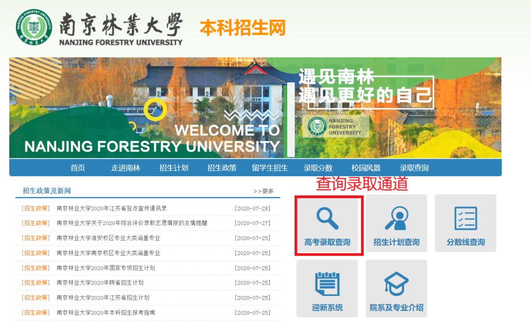 通道|关于录取查询通道的贴心提醒