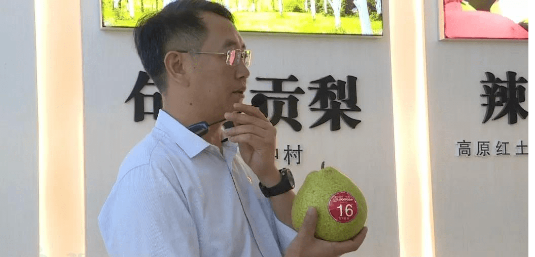 珠街镇|【你笑起来真好看】云南广南：一颗梨致富一镇乡亲