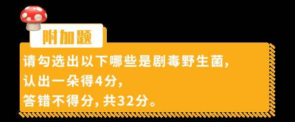 杨维涵|云南人吃菌等级考试