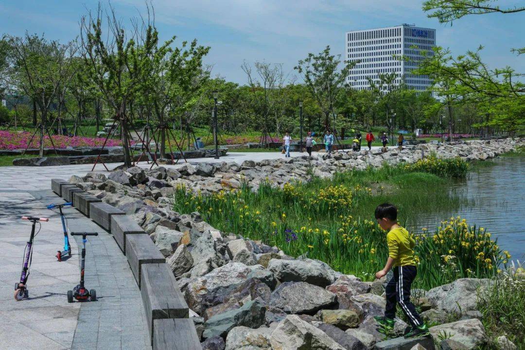 滨水景观环境可视化景观设计下的上海迪水湖绿化带线性公园