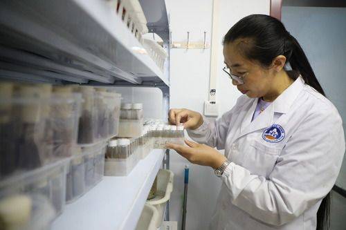 祁连山|祁连山野生菌物“卫士”暑期研究忙