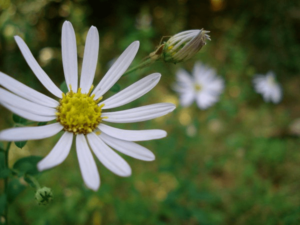 名誉|夜读｜名誉高处找不到遮身之地