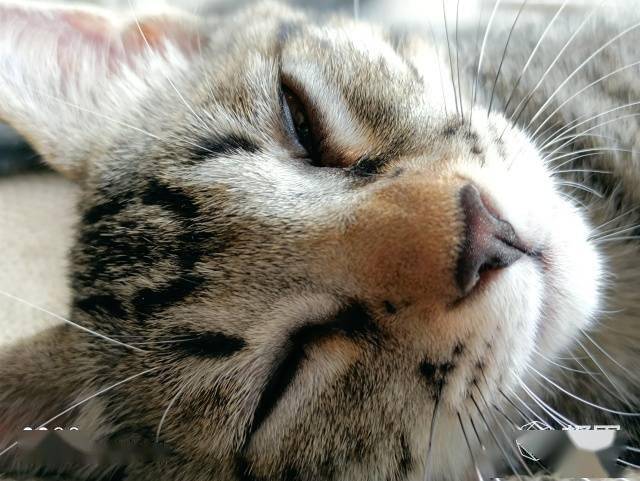 测评盘点|Redmi K30至尊纪念版评测：在5G时代回到1999！名副其实的水桶机